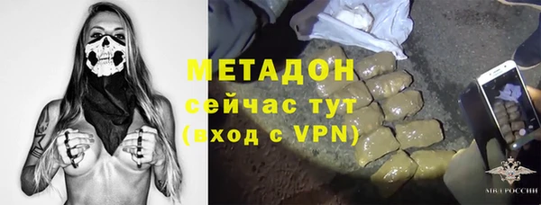 стаф Алзамай