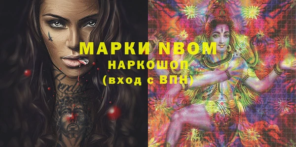 стаф Алзамай