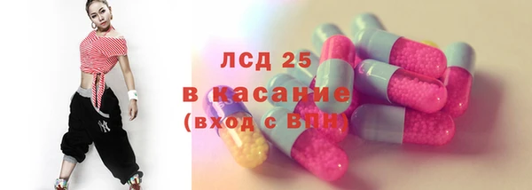 стаф Алзамай