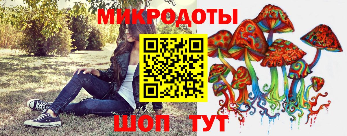 Псилоцибиновые грибы Cubensis Заводоуковск