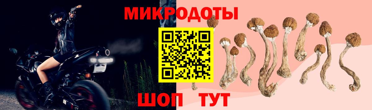 Галлюциногенные грибы мицелий  Псилоцибиновые грибы Magic Shrooms  Заводоуковск  Вход с VPN 